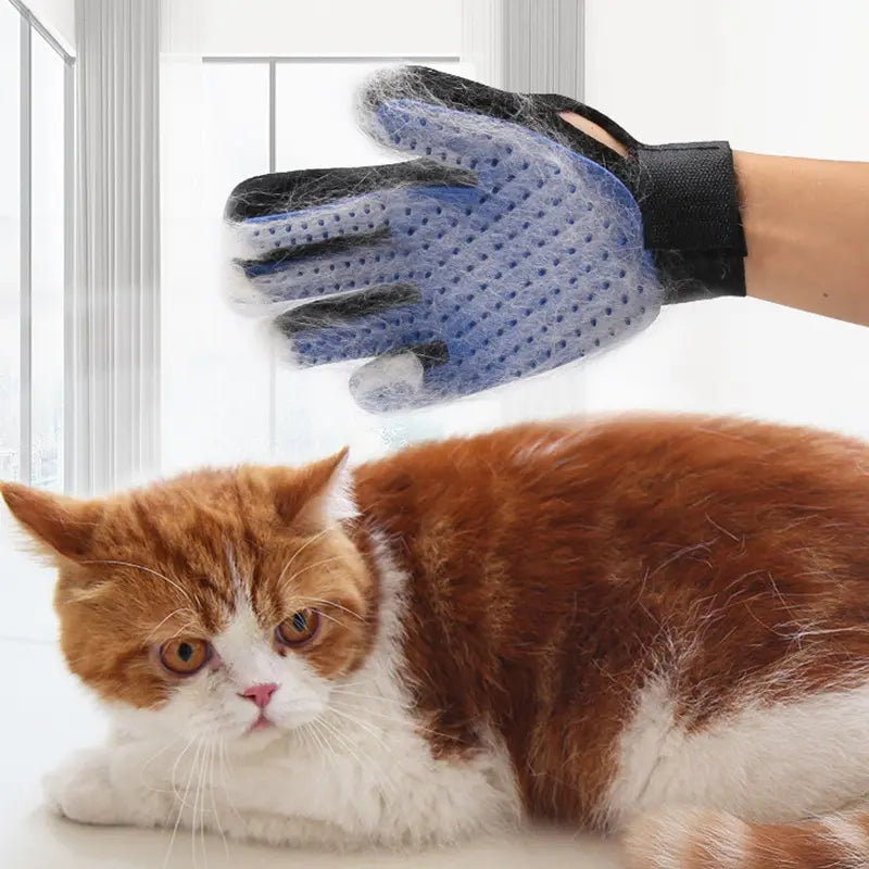 Precision Pet Grooming Glove